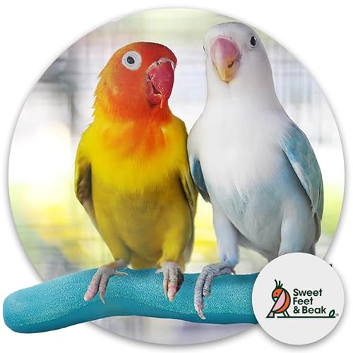 Sweet Feet and Beak Safety Pumice Perch - Trims Nails and Beak - Promotes Healthy Feet - Safe Non-Toxic Bird Supplies for Bird Cages - X-Large 14" - Purple - color: Purple, size: X-Large 14"