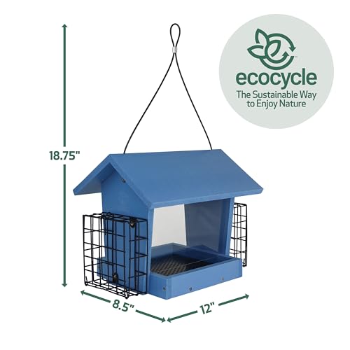 Hopper Hangout Recycled Plastic Hopper Bird Feeder with Latching Suet Cages & Fresh Seed Tray for Wild Birds and Outdoor Décor, 3 Quart Capacity, 2 Suet Cake, Blue