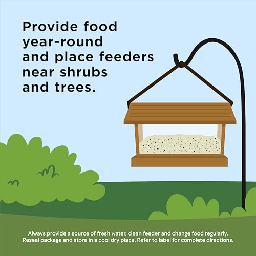 Kaytee Ultimate Nut & Fruit Food, Wild Bird Seed for Outside Feeders, Grosbeaks, Cardinals, Nuthatches, Woodpeckers & More, 9.75 Pounds - size: 9.75 Pound (Pack of 1), style: Nut & Fruit