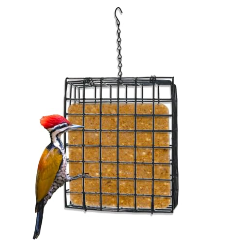 Birds Choice Suet Cage Feeder, Holds 1 Suet Cake | Hanging Bird Suet Feeder for Woodpeckers, Jays, Nuthatches | Vinyl Coated Grids | Sturdy for Garden, Backyard, Outdoor | 4.75" L x 1.625" W x 6" H | Holds 1 Suet Cake or Seed Block, Hanging Wire Cage Desi