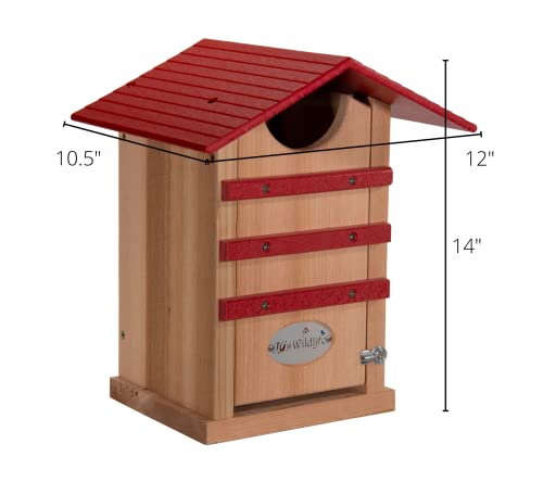 Screech Owl House Cedar Nesting Box with Poly Lumber Roof, Saw-Whet Owl Box for Outside, Drainage Ventilation, Easy Cleanout, Made in USA, Cardinal Red - color: Cardinal Red