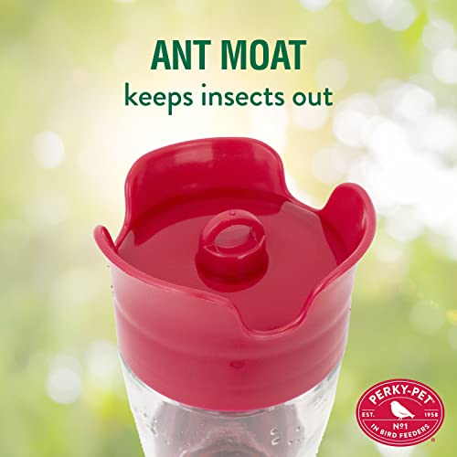 Perky-Pet Favored Pinch-Waist Glass Hummingbird Feeder, 16 oz Capacity | Built-in Ant Moat & Bee Guard for Prevention Against Bees, Wasps, Ants, 5 Feeding Ports with Perches, Garden Décor - style: 1 Feeder