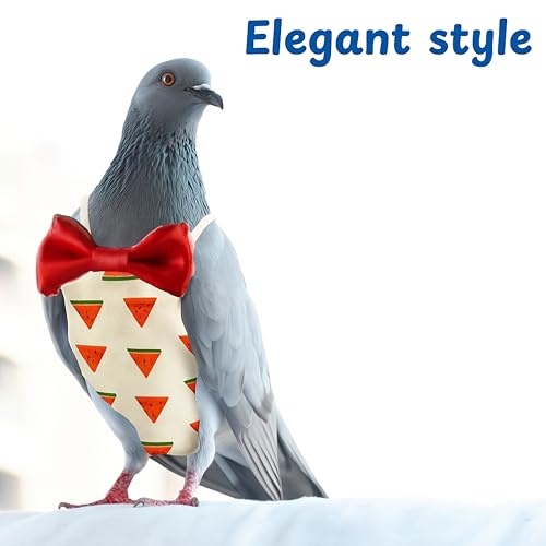 Birds Pigeon Diaper Pants Harness and Leash, Bird Diapers for Pigeons and Leash Harness, Diapers for Birds Cockatiel Parrot, Parakeet Diaper, Pigeon Pants, Parrot Clothes for Bird (XL-Watermelon) - size: XL-Watermelon