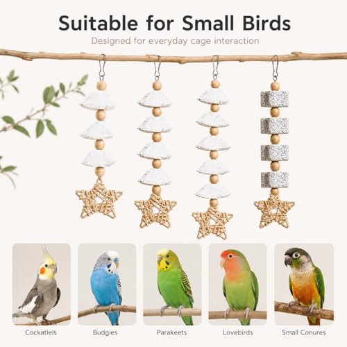 4 Pack Hanging Bird Chew Toys for Small Birds Cuttlebone and Pumice Cage Toys with Rattan Star and Wood Beads for Cockatiel Budgie Parakeet Conure Lovebird - size: 4 Pack