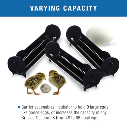 Brinsea Large Egg Carriers for Ovation 28 Incubator, Goose-Size Eggs, 3 Pack | Authentic Brinsea parts for Ovation 56 EX enables incubator to hold 9 goose eggs or 66 quail eggs in 2 rows with dividers - size: Ovation 28 (28 Eggs)