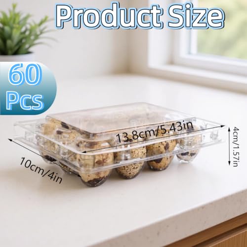 60Pcs Quail Egg Cartons,Square Dozen Egg Boxes 12 Grids Clear Plastic Quail Egg Cartons Stackable Trays for Quail Eggs, Pigeon Eggs, Small Poultry, for Home Fridge Storage, Farm, Market