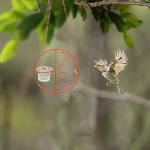 Abaodam 2PCS Glass Oriole Feeder Replacement Cups for Outdoor Bird Feeders | Easy To Clean, For Oriole Jelly Feeders, Outdoor Hanging Feeders, Garden And Balcony Use