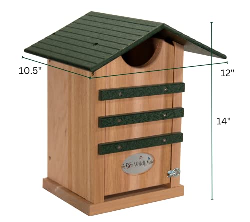 Screech Owl House Cedar Nesting Box with Poly Lumber Roof, Saw-Whet Owl Box for Outside, Drainage Ventilation, Easy Cleanout, Made in USA, Green - color: Green