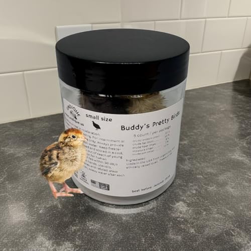 Undique Whole Quail for Carnivore Pets - Premium Quality Natural Pet Treats - Natural Prey Feeding - Freeze-Dried for Essential Nutrients and Enzymes - Quality Protein Source Small Size 5 Count