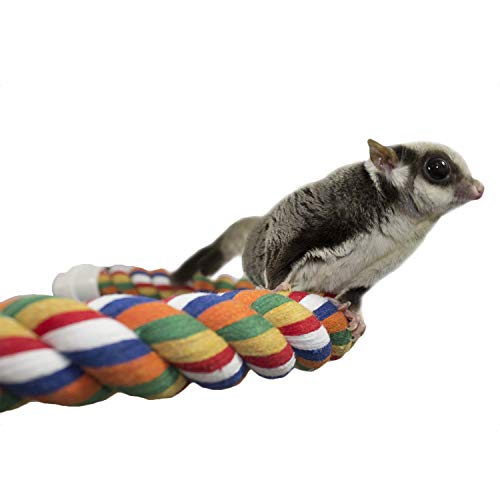 16 Inch Flex Rope (Medium) - Bendable Fun Climbing Perch Cage Accessory Toy - Sugar Gliders, Squirrels, Degus, Marmosets, Monkeys, Parrots, Birds, Rats & Other Small Animals