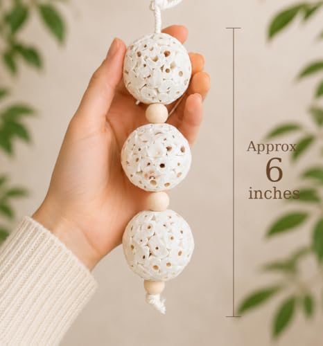 Shred and Destroy Bird Toy for Small Birds - Budgies, Lovebirds - Natural Sola Ball Hanging Chew Toy - 2 Pack - Boredom Buster Cage Toy
