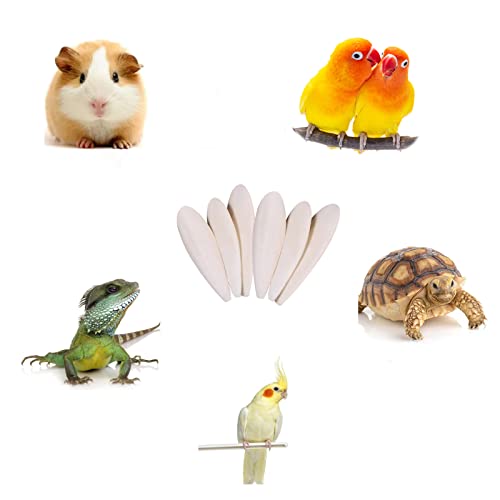 Afkengung 6 Pieces Natural Cuttlebone Calcium Block for Birds Parakeets Reptiles Turtles Grindable Powder Feeding Natural Calcium Supply Improve Pet Immunity Each 4.3-5.1 Inch