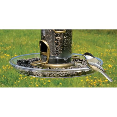 Aspects 423 Quick Clean Bigfoot Seed Tray Large
