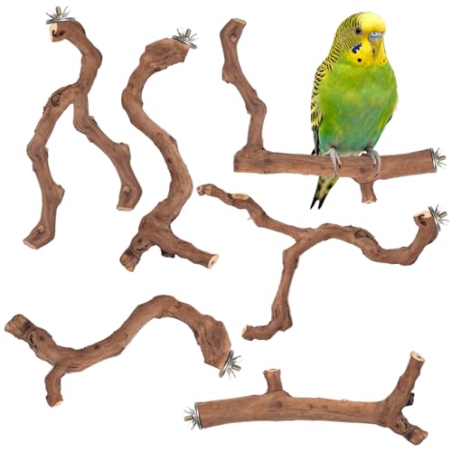 6-Piece Premium Bird Perch Stand with Natural Grape Wood Branch, Paw Grinding Fork, Chewing Stick, Cage Accessories for Parakeets, Budgies, Cockatiels, Finches, Lovebirds - size: 6Piece