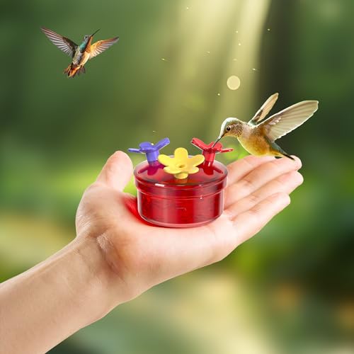 Dreamdrawer 2 Pack Window Hummingbird Feeder, Small Hummingbird Feeder for Outdoors with Strong Suction Cup - Metal Base & 6 Feeding Ports, Easy to Clean and Refill, Pink - color: 2PC-Pink
