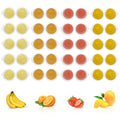 Snout and Shell Pet Jelly Pods Variety Pack - Nutritious Jelly Fruit Nectar Treats for Geckos, Sugar Gliders, Birds, Small Pets - Real Fruit Juice - 40 Cups