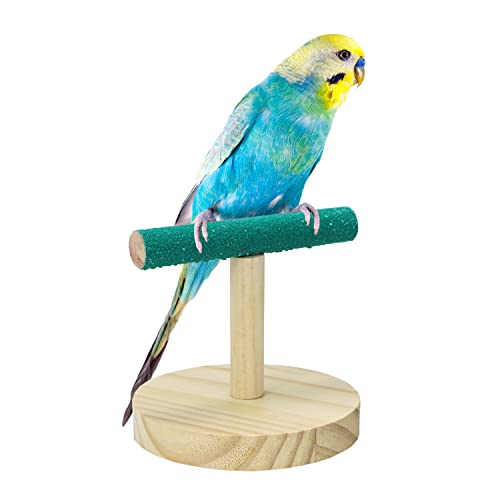 Litewoo Parrot Perch Bird Stand Natural Wood Quartz Sand Birdcage Play Gym T Perch Fits for Budgies Parakeet Cockatiel Conure Lovebirds（A）