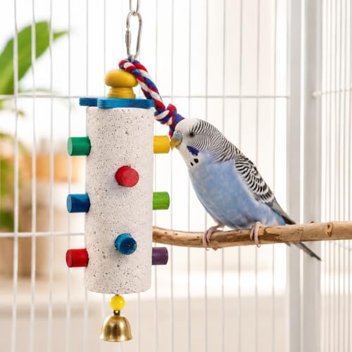 Hanging Bird Chew Toy for Small & Medium Birds, Textured Chewing Stone with Colorful Wooden Pegs, Cotton Rope & Bell, Bird Cage Accessories for Parakeets and Cockatiels