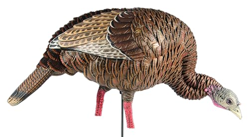 Avian-X LCD Feeder Hen Turkey Decoy with X-Factor Motion System – Realistic Lifelike Collapsible Standing Turkey, Durable Design, Carry Bag & Collapsible Stake for Hunting - style: HDR Feeding Hen