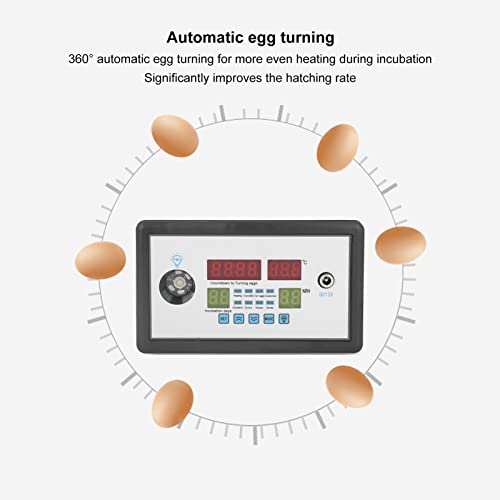 TOPINCN Egg Incubator Automatic Intelligent Incubator Thermostat Egg Incubator Controller for Hatching Chickens Ducks Birds Eggs Home 12V
