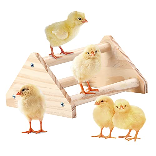 Wooden Chick Perch Stand, Pine Chicks Roosting Bar, Jungle Gym Perch Toys for Chicken Coop & Brooder, Bird Perch for Baby Chicks & Parrots (Small) - color: Small