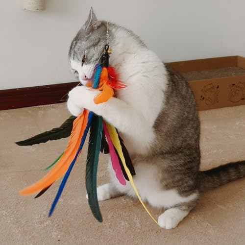 miwoowim 6PCS Cat Wand Toy Refills: 2 Extra-Large & 4 Standard Feathers | Handcrafted Da Bird feathers with bells for allure. Non-toxic, durable, and compatible with most standard teaser wand toys - color: 4 PCS Feather Refills