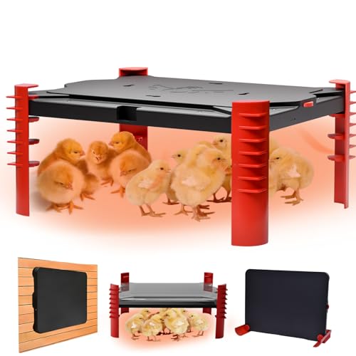 150W Chick Brooder Heater Plate, 16"x11" | 2-in-1 Brooder Plate for Chicks & Poultry & Coops, Adjustable Height, Smart Thermostat, Safe & Energy Saving - size: 16.0"L x 11.0"W x 3.0"H