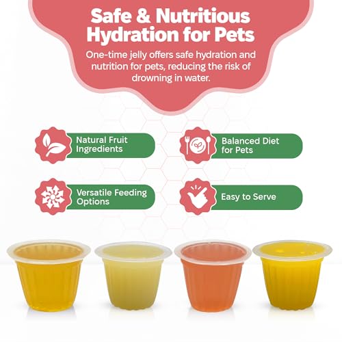 Snout and Shell Pet Jelly Pods Variety Pack - Nutritious Jelly Fruit Nectar Treats for Geckos, Sugar Gliders, Birds, Small Pets - Real Fruit Juice - 40 Cups