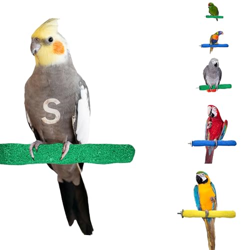 Sweet Feet and Beak Comfort Grip Safety Bird Perch, Small Pedicure Perch | Made from Bird-Safe Concrete Blend, Promotes Feet, Nails and Muscle Stimulation, 6.5" Perch, Available in 5 Sizes, Green - color: Green, size: Small 6.5"
