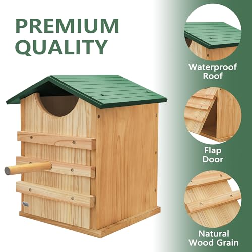 Screech Owl House 14 x 10 Inch, Cedar Wood Owl Box with Bird Stand Design, Owl Nesting Box with Mounting Screws and Wood Shavings - style: Bird Stand Design