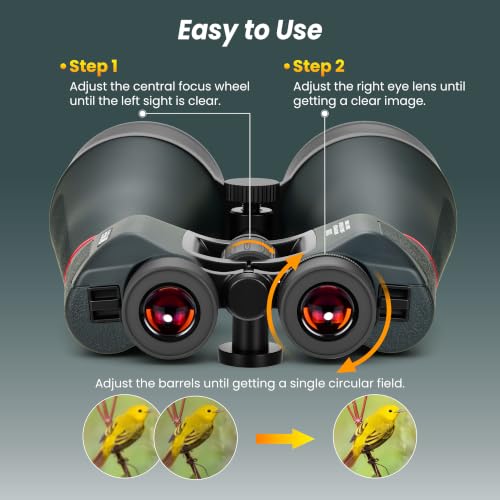 ESSLNB 20x80 Astronomy Binoculars for Adults, High Powered Stargazing Outdoor Waterproof Binoculars for Travel Bird Watching Hunting with BAK4 Prism FMC Lens Carrying Bag (Red) - color: Red