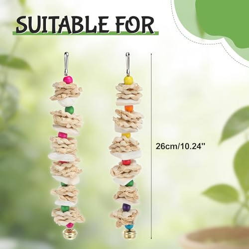 Bird Toys with Cuttlebone, Grinding Stone for Bird, 2 Pcs, B | Prevent Destructive Chewing, Colorful，White - style: Style B
