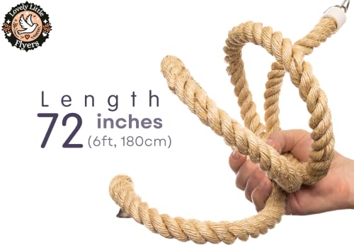 Boing Rope Perch for Parrots, Bendable Natural Sisal Spiral Hanging Bungee Perch with Stainless Steel Mount, Cotton Alternative Cage Accessory, Perch for Cockatiels, Parakeets, Doves, Budgies (6 ft)