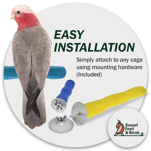 Sweet Feet and Beak Comfort Grip Safety Bird Perch, X-Large Pedicure Perch | Made from Bird-Safe Concrete Blend, Promotes Feet, Nails and Muscle Stimulation, 13.5" Perch, Available in 5 Sizes, Blue - color: Blue, size: X-Large 13.5"