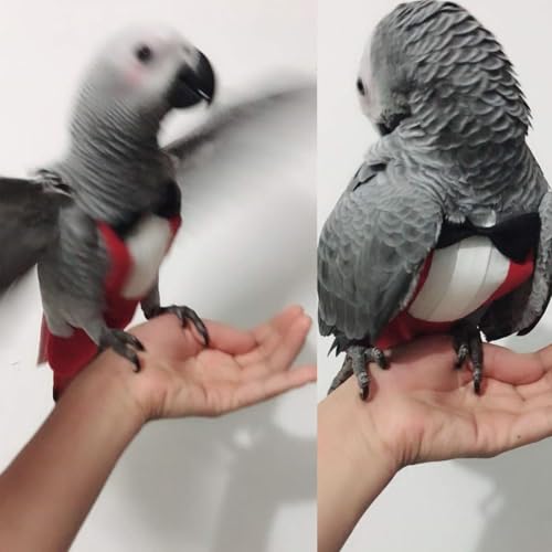 QBLEEV 2 Pack Bird Diapers, Reusable Cockatiel Tuxedo Flight Suite Costume | Parrot nappy clothes for wedding party birthday cosplay photo, pigeon pants urine wet suit for conure macaw budgies parakeet - size: L