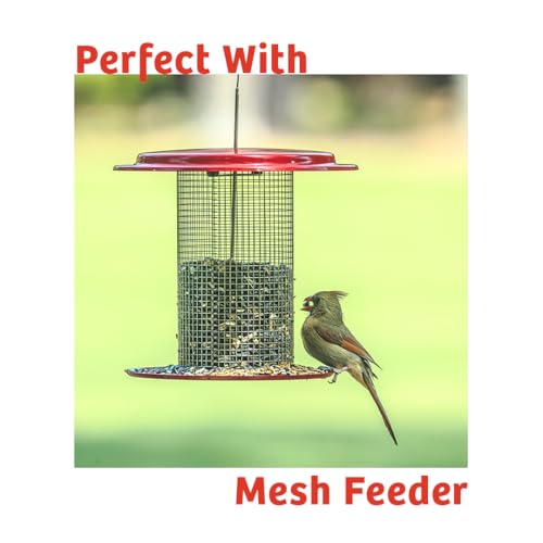 Birds Choice Cardinals Crave Bird Seed Wild Bird Food | Nutrient-Rich Bird Seed Blend | High-Energy with Safflower, Black Oil Sunflower Seeds & Peanuts | High Protein & Fat for Cardinals | 5 lbs | High-Energy Blend of Safflower, Black Oil Sunflower Seeds