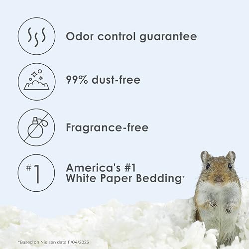 Kaytee Clean & Cozy White Paper Bedding, Made for Small Animals, 100 Liters, Pack of 2 - size: 100 Liter