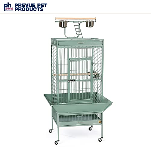 Prevue Hendryx Pet Products Wrought Iron Select Bird Cage 3152SAGE Sage Green, 24-Inch by 20-Inch by 60-Inch | Large Steel Cage with Rolling Stand, and Playtop, Durable Design, Ideal for Conures and Medium Birds - color: Sage Green, size: 24.0"L x 20.0"W