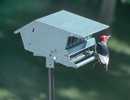 Audubon Bird's Delight Squirrel Resistant Bird Feeder Model 7511i