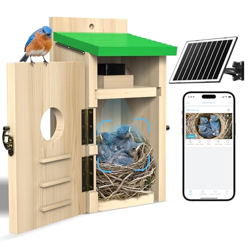 Bird House with Camera,Solar Smart Birdhouse with Camera Inside | Motion Detect & Night Vision,App Control,Wi-Fi Bird Watching for Backyard Nesting,Bird House for Outside with Camera,Green - color: Light Green