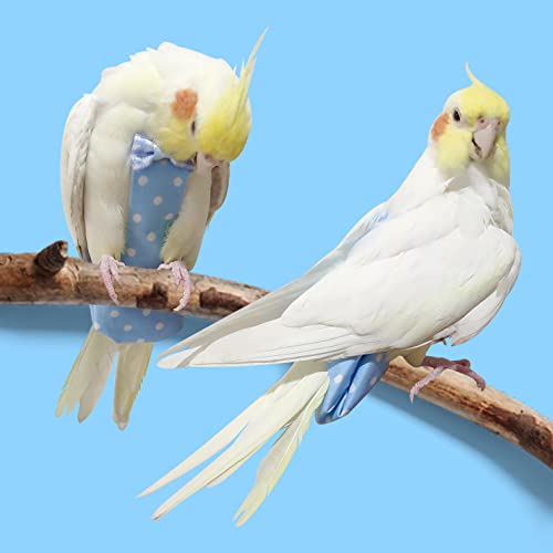 VANFAVORI Bird Diaper Flight Suit with 80-inch Leash, M Size, Denim Blue | Includes Flight Suit, 80-inch Leash, and 1 Cotton Pad. For Birds Parrots Cockatiels, Conures and Similar Parrots (80-105 g)