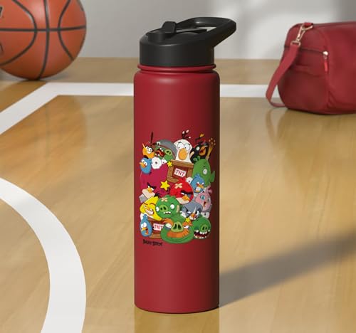Angry Birds Piggy & Bird Pile Stainless Steel Insulated Water Bottle - color: Red