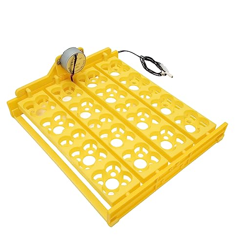 Egg Incubator Tray, Multifunction Automatic Egg Turner Incubator Tray Eggs Automatic Egg Turner Turning Tray for 16 Duck Eggs 16 Eggs 72 Quail Eggs Incubation (DC12V) - size: DC12V