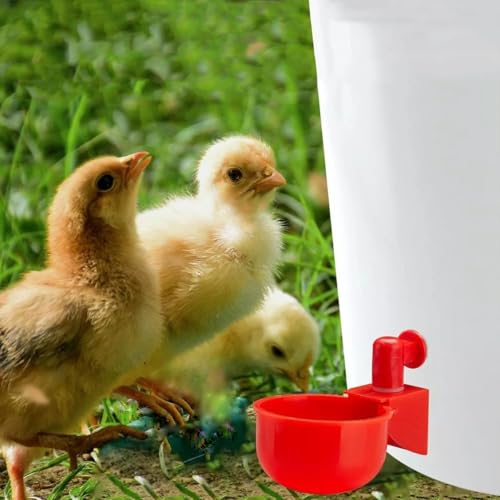 Poultry Waterer Cup – 2-Pack Automatic Drinking Bowls for Chickens, Ducks, Quail & Pigeons, Red 6.5 cm Ø, Constant Fresh Water, Screw-in Bucket or PVC System