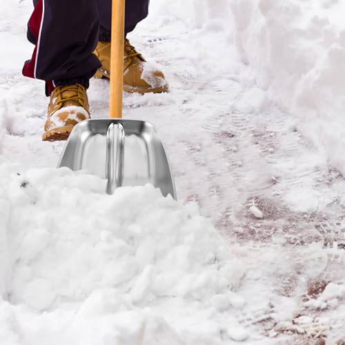 DECHOUS Replacement Stainless Steel Snow Shovel Head for Outdoor Snow Removal, Medium Size Sturdy Spade Shovel Part for Farming and Poultry Feed Use