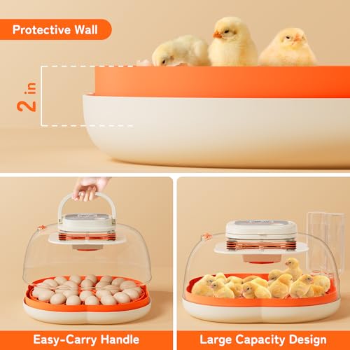 APDOE Egg Incubators for Hatching Eggs, Temperature and Humidity Control, Automatic Egg Turning, Egg Candler, External Water Bottle, Air Vent, for Chicken, Duck & Quail Eggs, 25 Eggs - color: Orange, size: 25 Eggs
