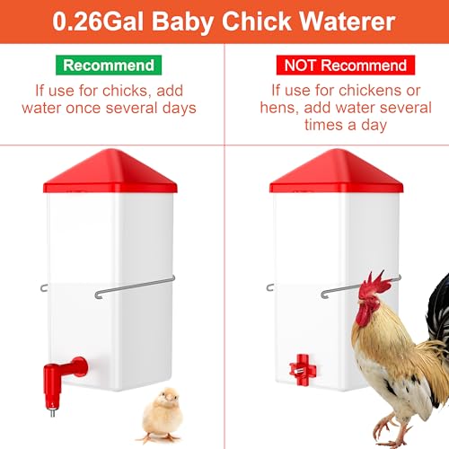 ZenxyHoC Baby Chick Waterer with Nipple Drinker 0.26 Gal (White) | Versatile- and Horizontal Nipple Drinkers for Chick Flocks - color: White, size: 0.26 Gal