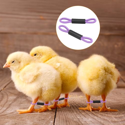 M METERXITY 100-Pack Adjustable Chick Leg Bands, 1.38" x 0.2" Polyester Chicken Leg Brace for Chicks/Ducks/Birds [Purple] Poultry Leg Bands - color: Purple
