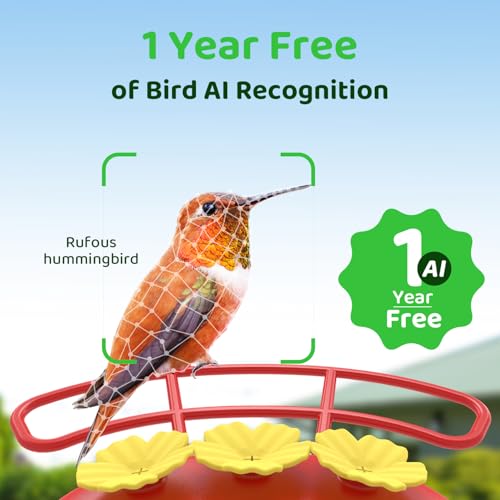 SEHMUA Smart Hummingbird Feeder with Camera, Solar Powered Bird Cam with 1 Year Trial AI Identify, Ant Moat & Bee Proof, Outdoor Hanging, Gift for Bird Watching - color: Red