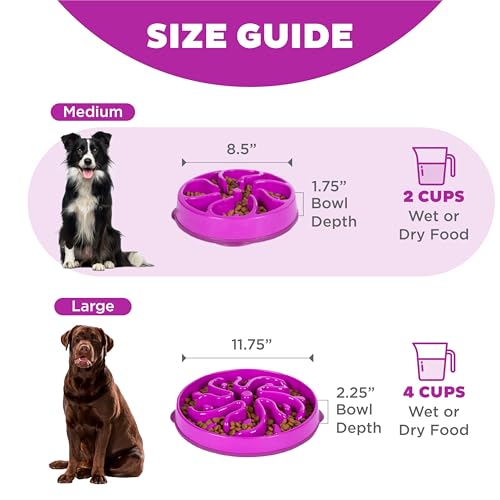 Outward Hound Fun Feeder Slo Bowl – Medium 2‑Cup Capacity, Slow Feeding, Small to Medium Dogs & Cats, Non-Slip, Purple, Flower Pattern - color: Purple, size: Medium